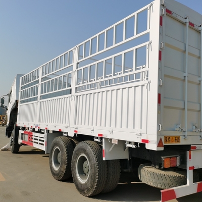 Sinotruk HOWO Camión de carga con certificación ECE de neumáticos y transmisión Wly6t46